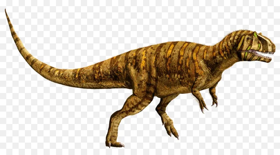 Metriacanthosaurus，Eşek PNG