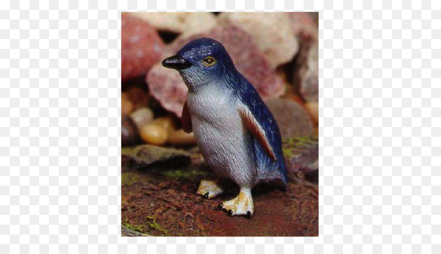 Penguen，Ornitorenk PNG