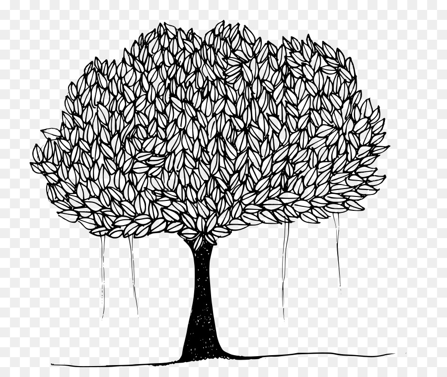 Ağaç，İncir Ağacının Dini PNG