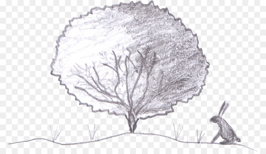 Çizim，Ağaç PNG