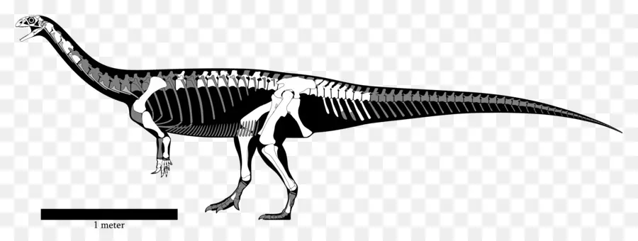 Dinozor İskeleti，Tarih öncesi PNG