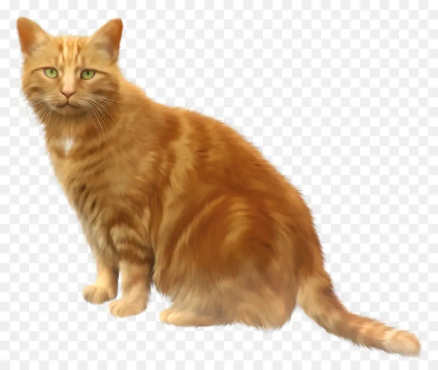 Kedi，Siyah Kedi PNG