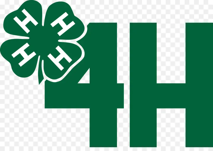 4h Logosu，Gençlik PNG