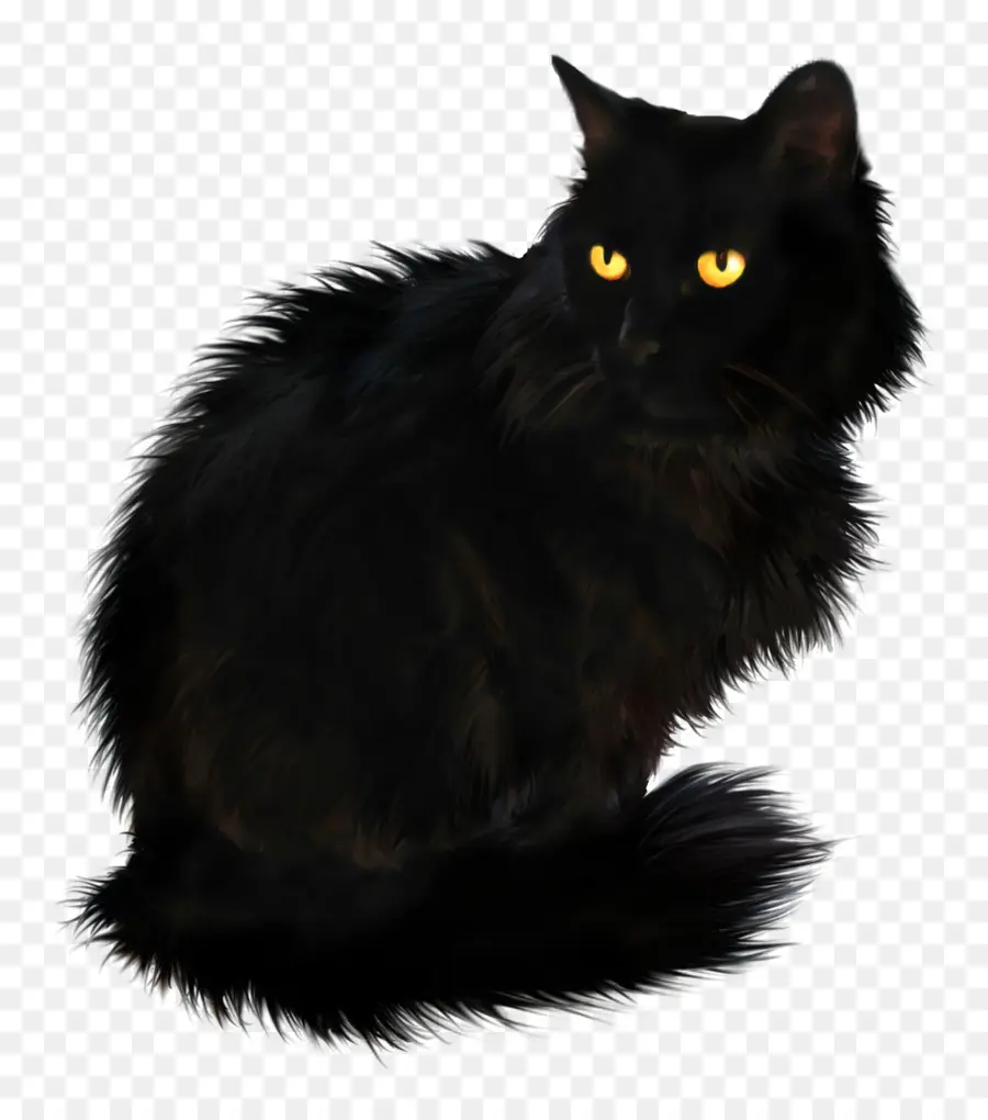 Kara Kedi，Yeşil Gözler PNG