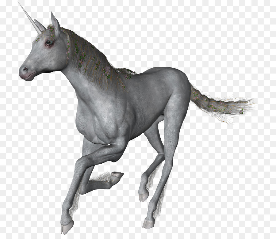 Horse，Unicorn PNG