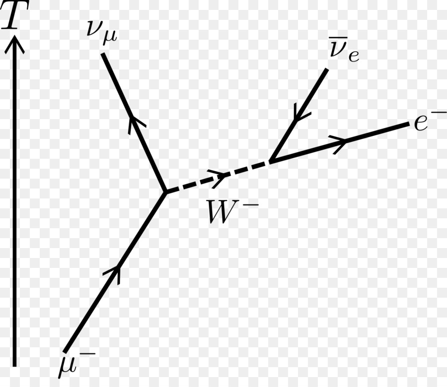 Muon，Feynman Diyagramı PNG