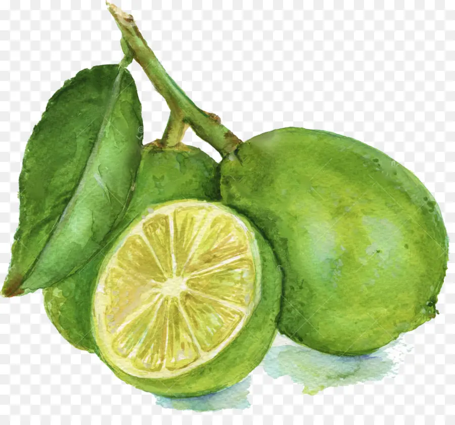 Yeşil Limonlar，Narenciye PNG