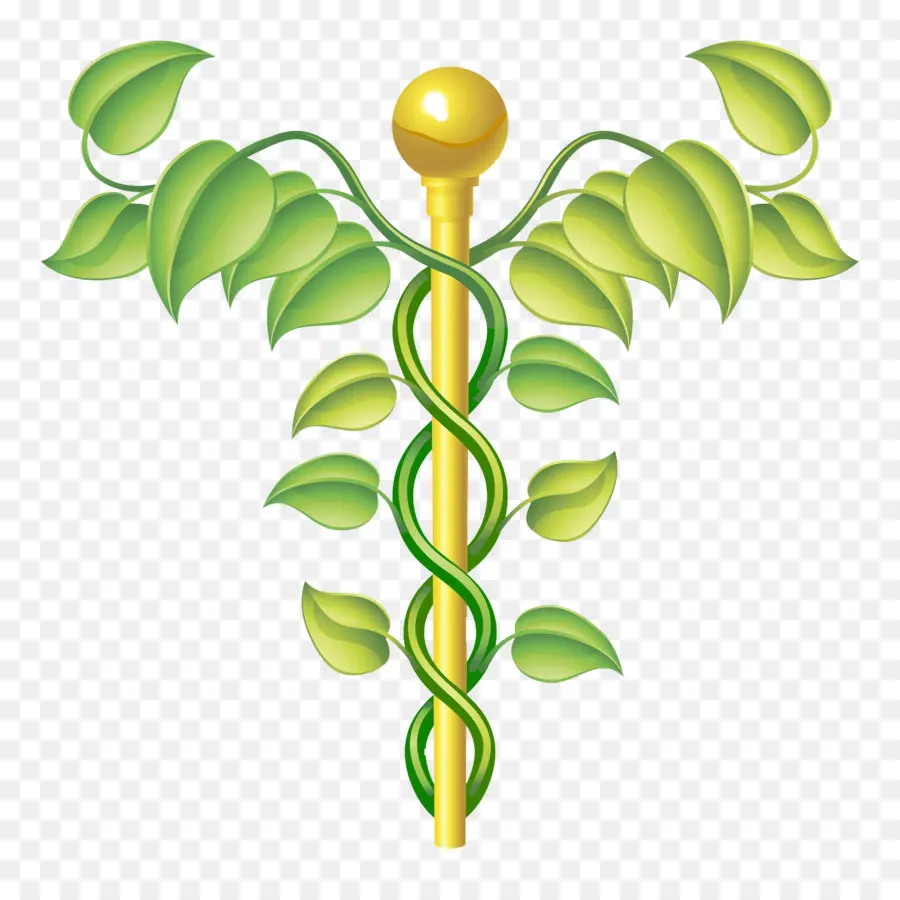 Tıbbi Sembol，Caduceus PNG