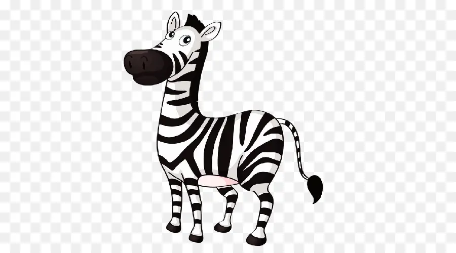 Indir，Zebra PNG