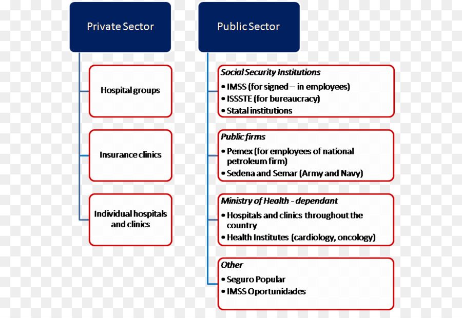 Meksika Sosyal Güvenlik Enstitüsü，Organizasyon PNG