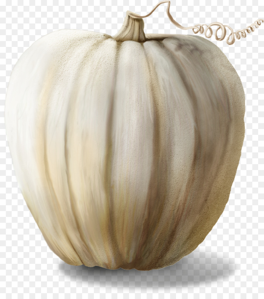 Kabak，Kış Squash PNG