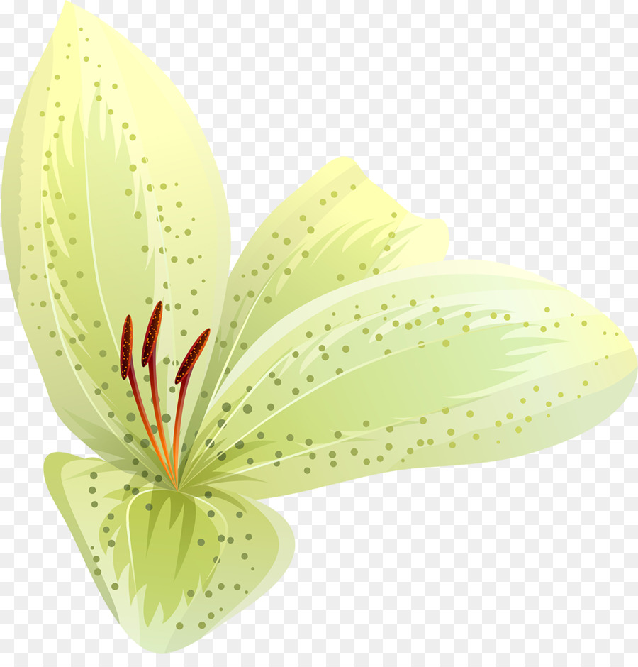 Yaprağı，çiçek PNG