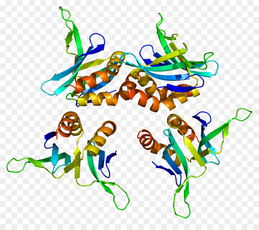 Protein，Gen PNG