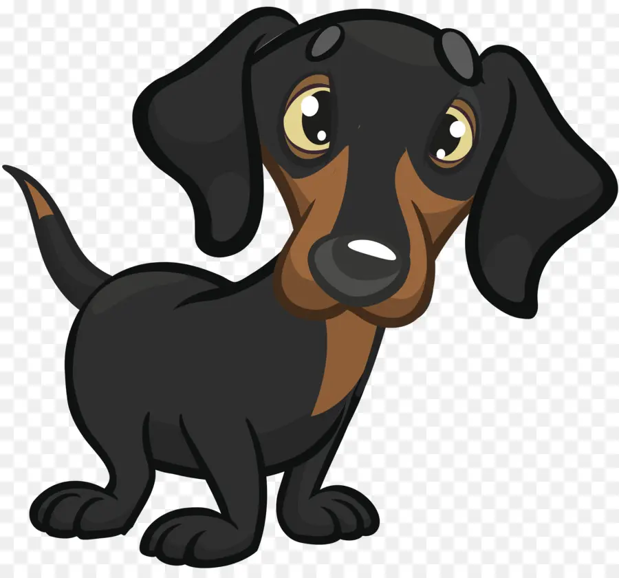 Dachshund，Karikatür PNG