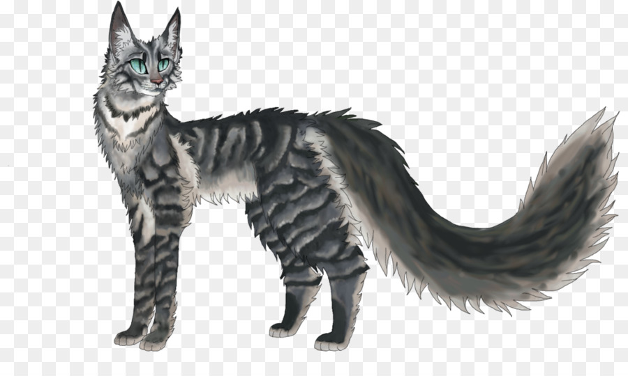 Maine Coon，Amerikan Wirehair PNG