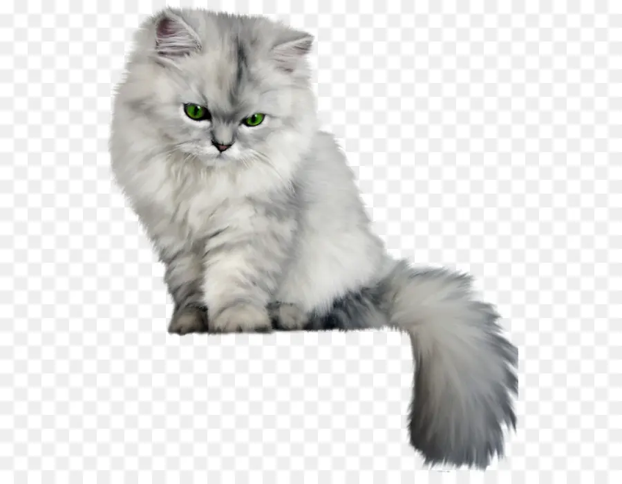 Kabarık Kedi，Yavru Kedi PNG