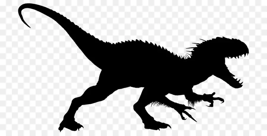 Dinozor Silueti，T Rex PNG