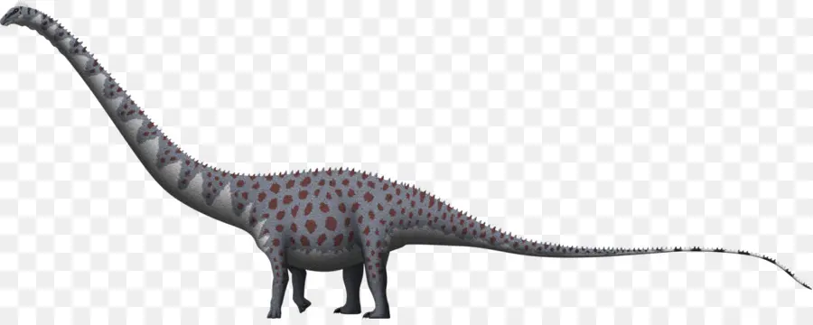 Supersaurus，Apatosaurus PNG