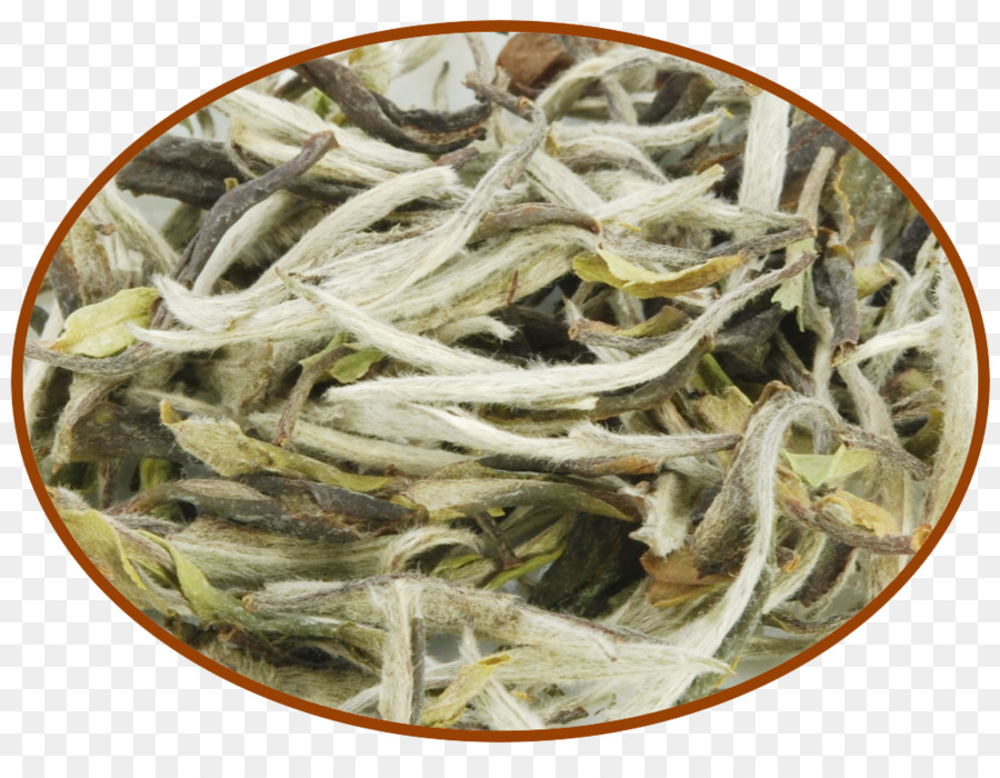 Bai Mudan，Baihao Yinzhen PNG