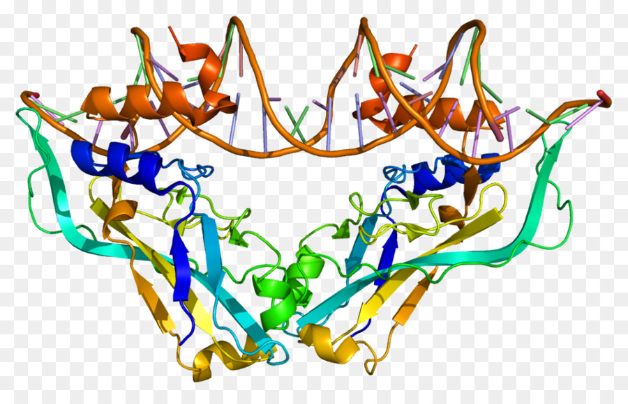 Tox，Protein PNG
