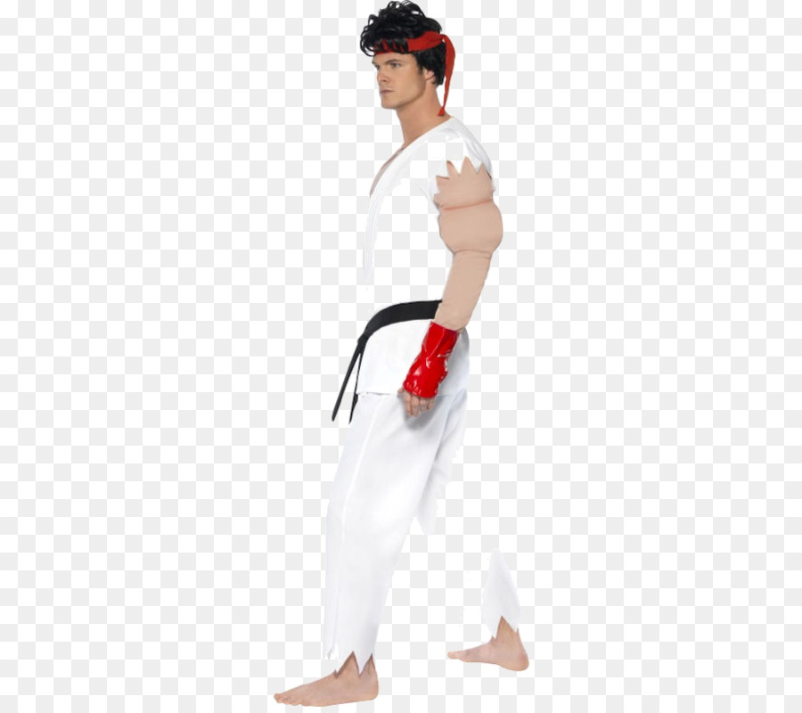 Ryu，Sokak Savaşçısı Iv PNG