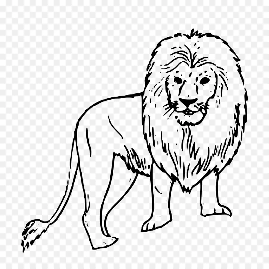 Aslan，Taslak PNG