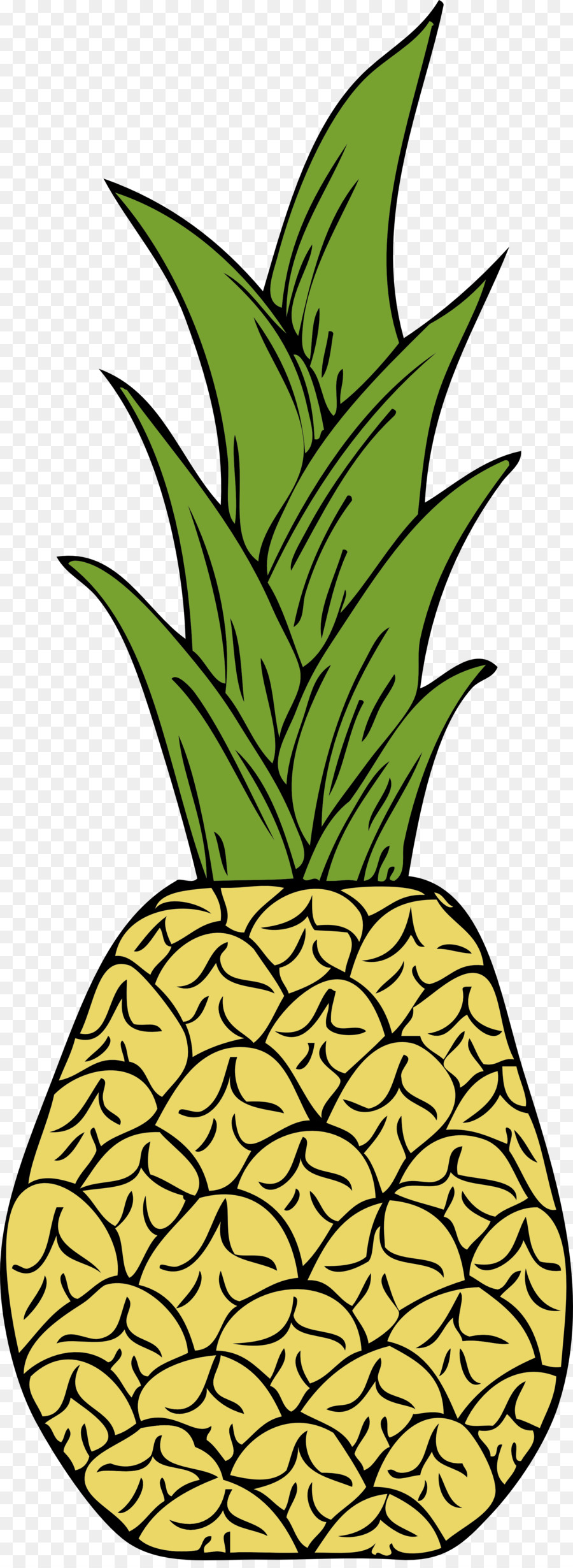 Ananas，Tropikal PNG