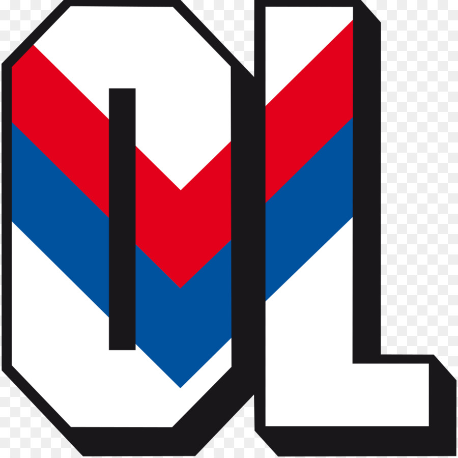 Olympique Lyonnais，Uluslararası Stadyumu PNG