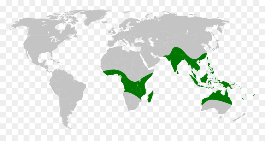 Biyocoğrafik Bölge，Indomalayan Bölge PNG