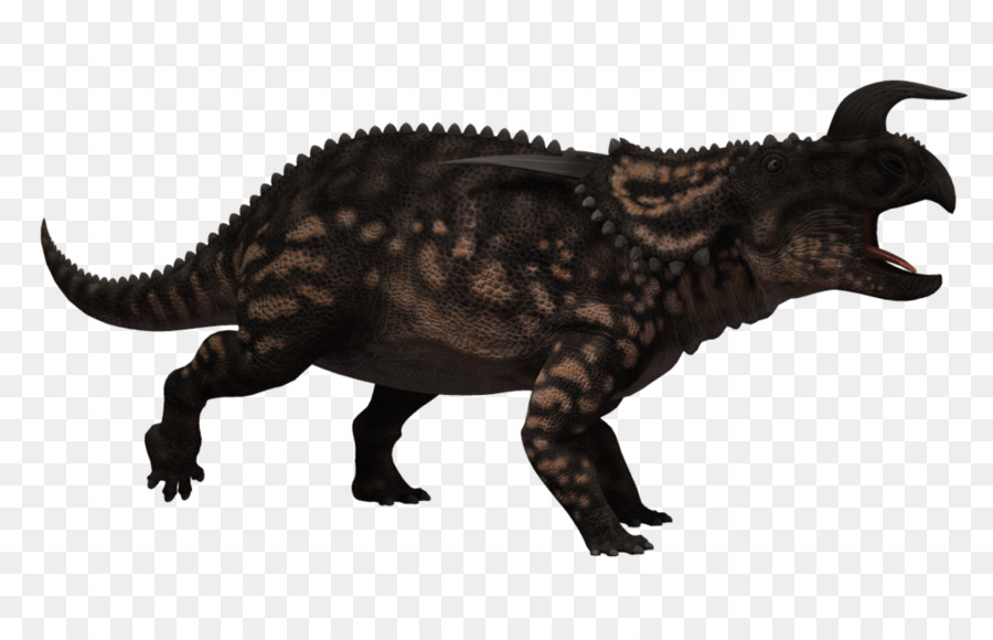 Einiosaurus，Ceratopsia PNG