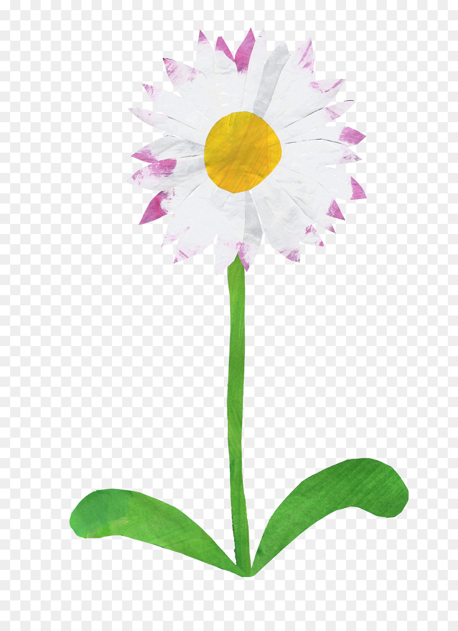 çiçek，Ortak Daisy PNG