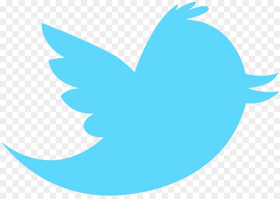 Mavi Twitter Logosu，Sosyal Medya PNG