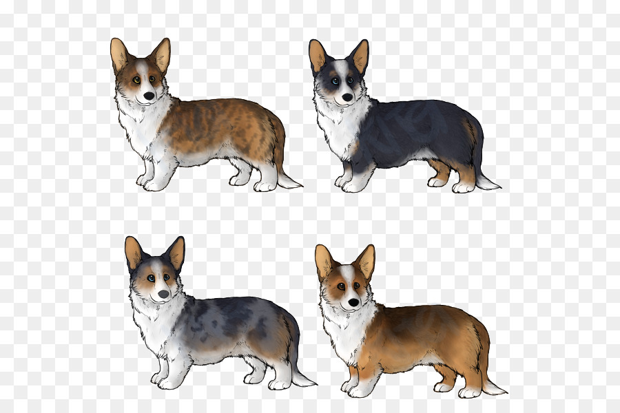 Corgi Köpekleri，Karikatür PNG