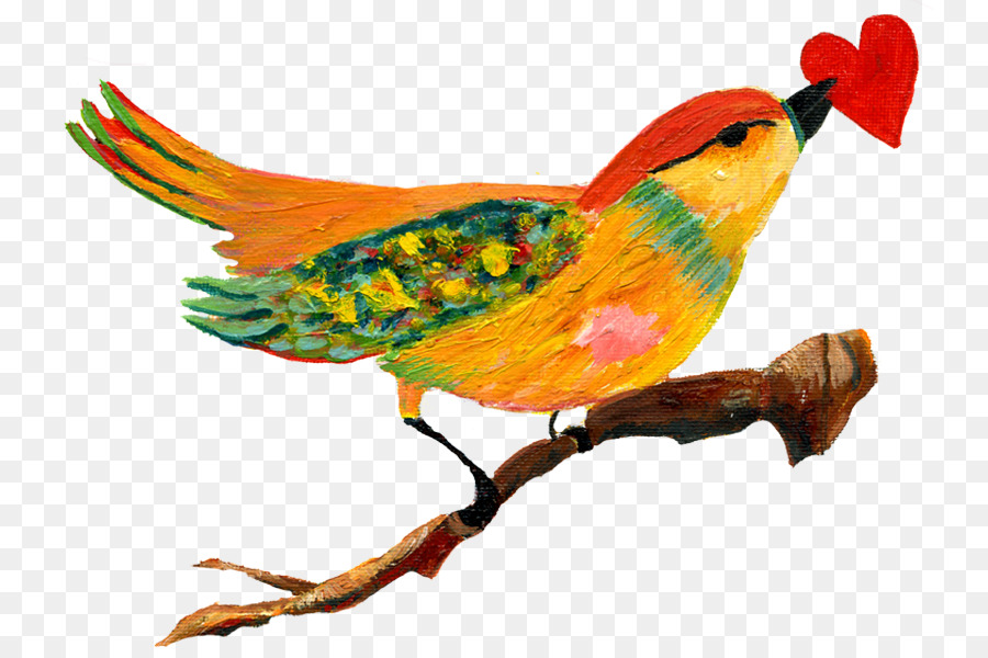 Kuş，Kalp PNG