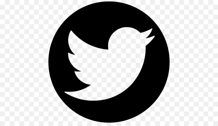 Twitter Logosu，Kuş PNG