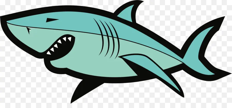 Köpekbalığı，Balık PNG