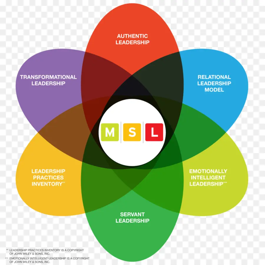 Liderlik Modelleri，Venn Şeması PNG