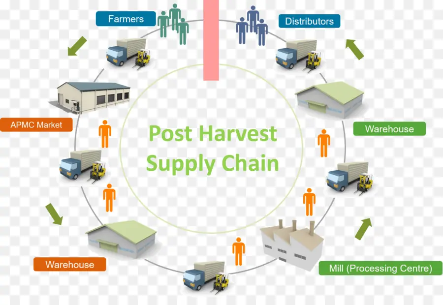 Hasat Sonrası Tedarik Zinciri，Çiftçiler PNG