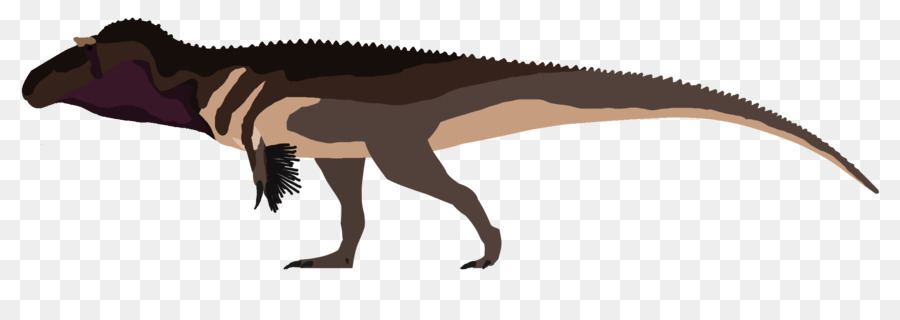 Torvosaurus，Tyrannosaurus PNG