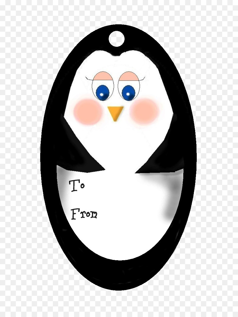 Penguen，Kuş PNG