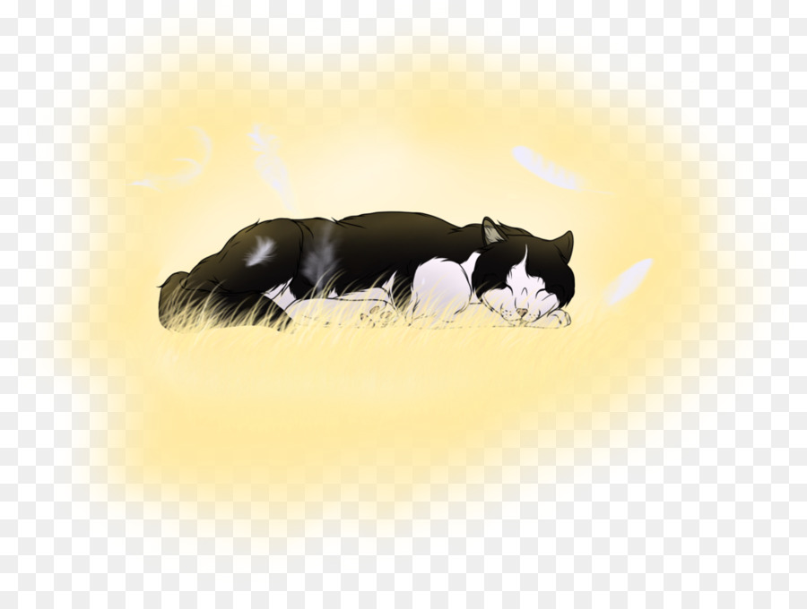 Kedi，Köpek PNG