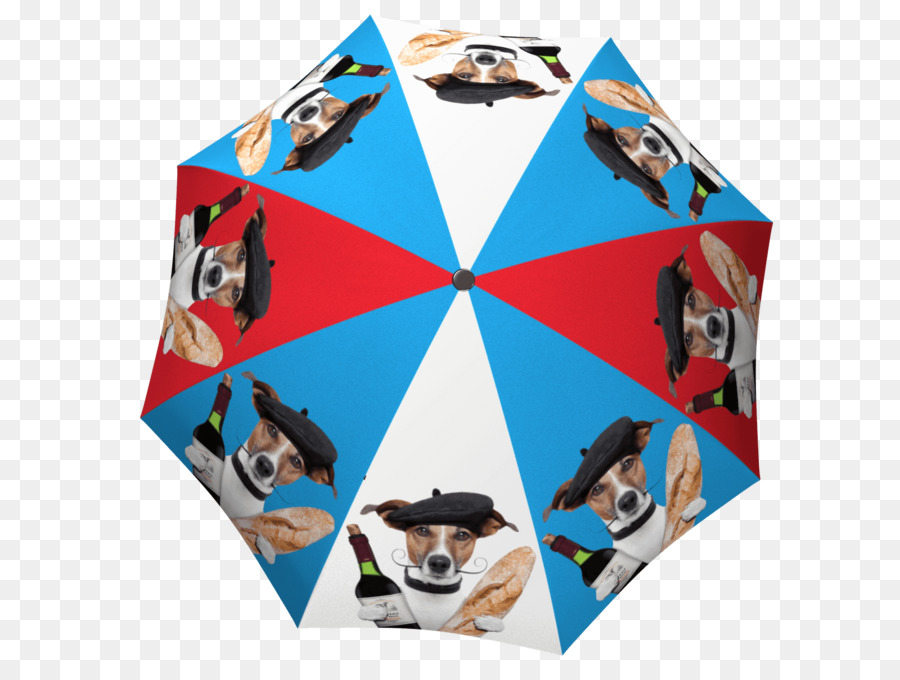 La Bella Şemsiye，şemsiye PNG