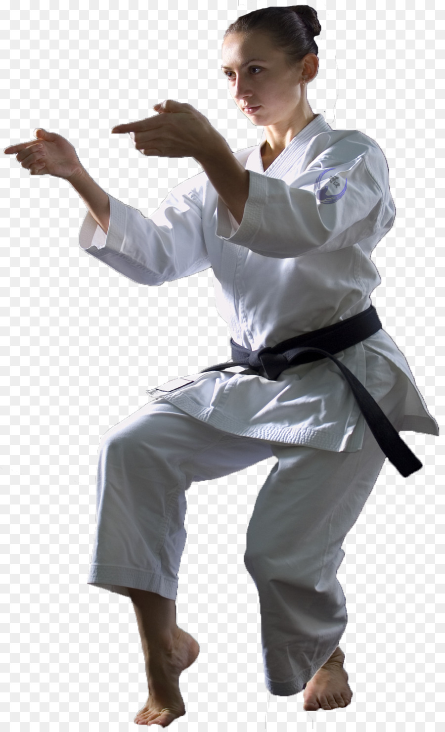 Karate Kızı，Dövüş Sanatları PNG