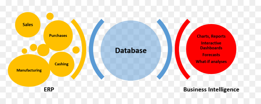 Iş Zekası，Kurumsal Kaynak Planlama PNG