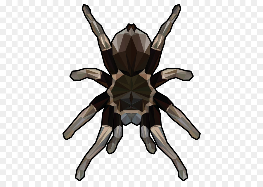 Tarantula，örümcek PNG