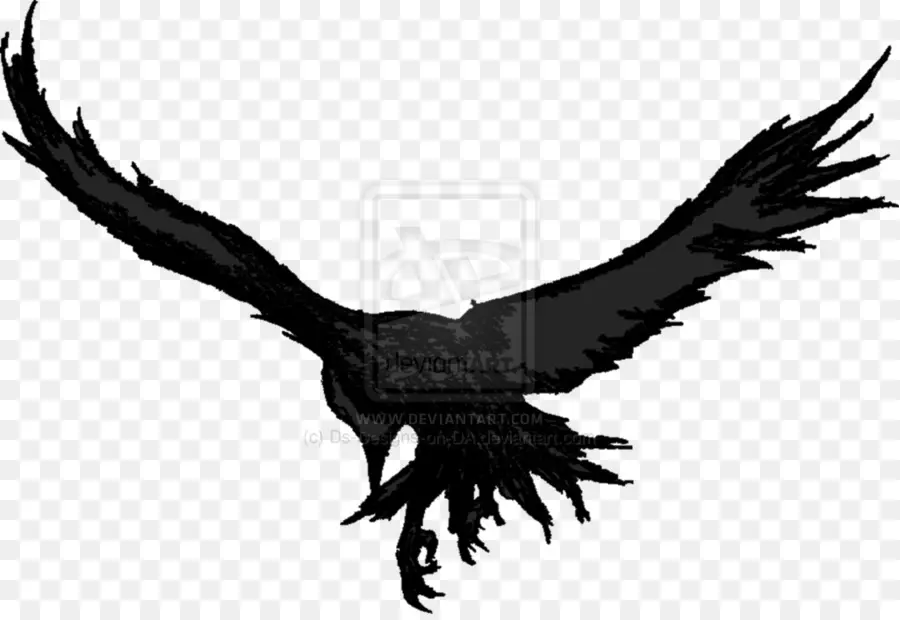 Kartal，Raptor PNG