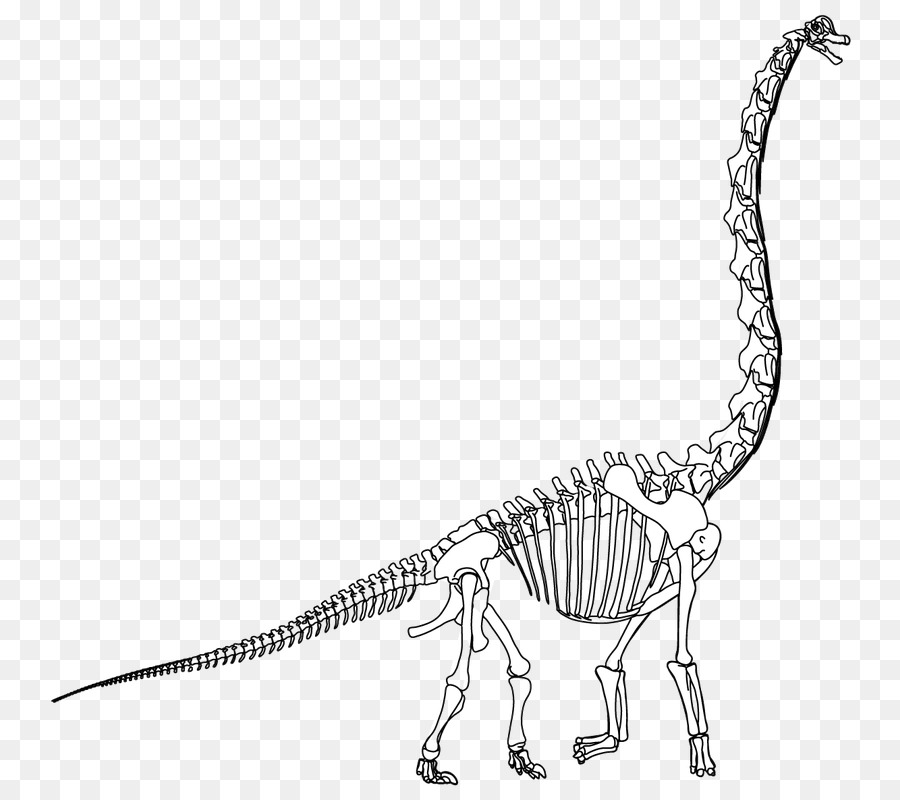 Dinozor İskeleti，Fosil PNG