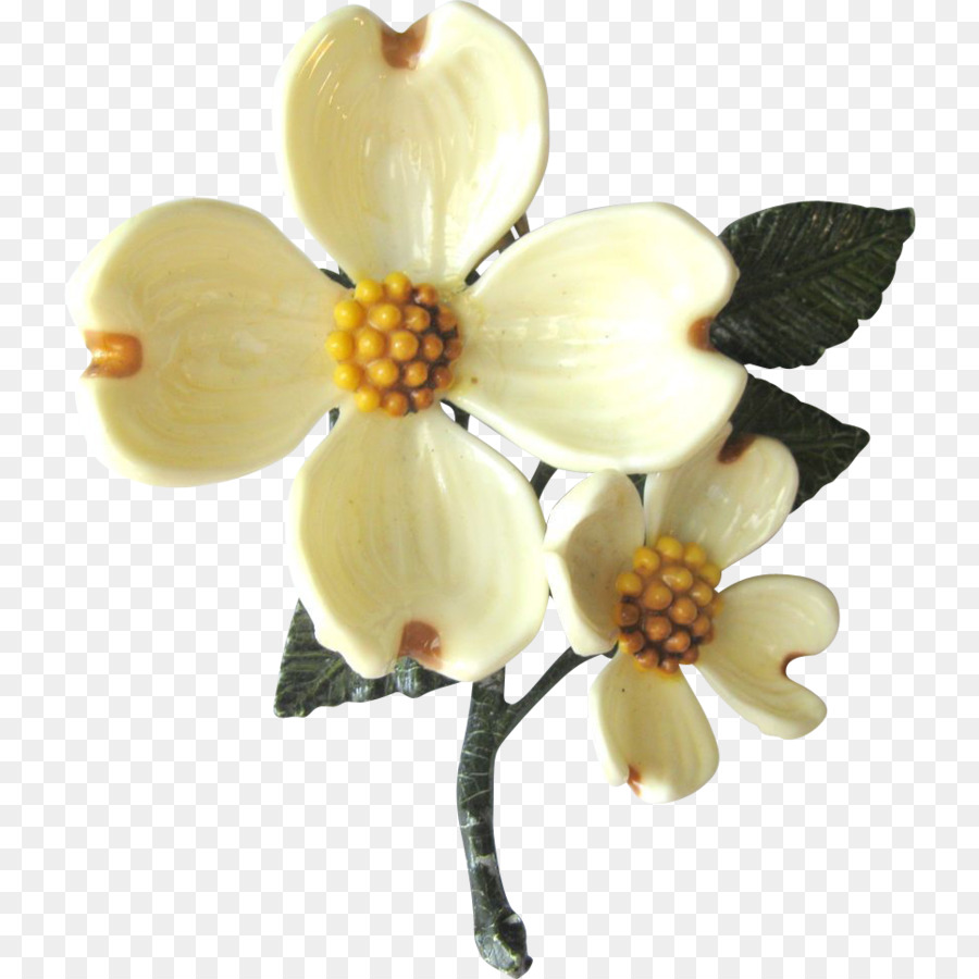 Güve Orkide，Kesme çiçekler PNG