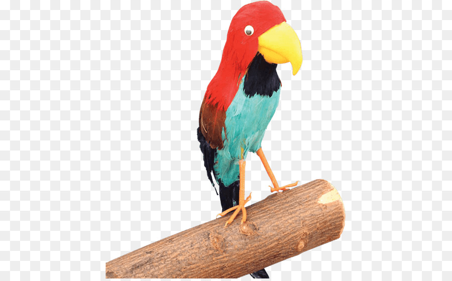 Papağan，Korsanlık PNG