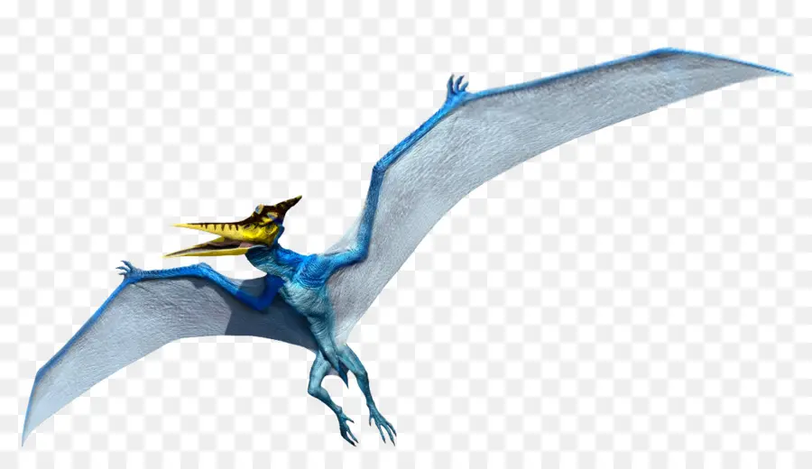Pteranodon，Mikro PNG